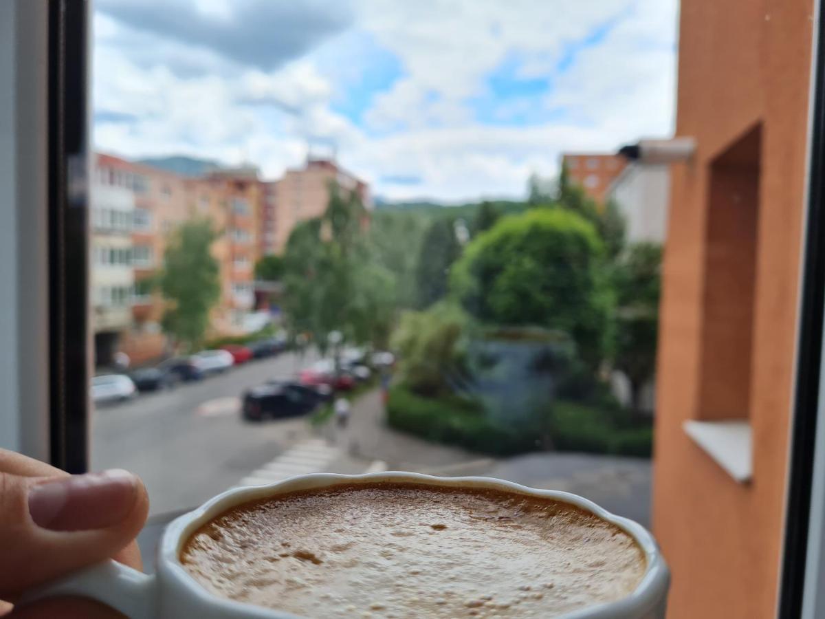 Smart Apartament Brasov Ngoại thất bức ảnh